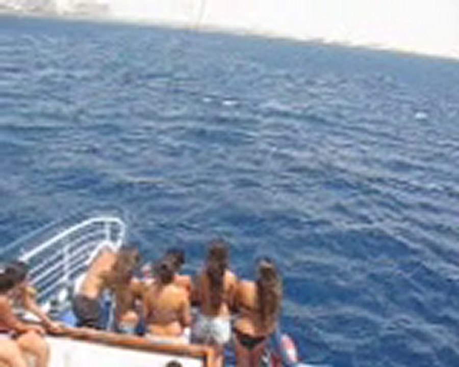 EILAT AOUT 2010 CLIP FREDDY GALULA