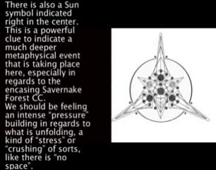 whitesheet hill crop circle Savernake Forest June 25th 2010,