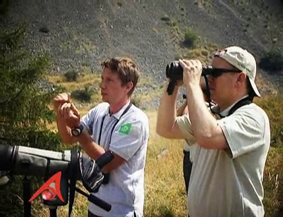 Réintroduction du Gypaète Barbu dans l'Arc Alpin