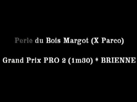 Perle du Bois Margot/JB Horiot - GP PRO2 Brienne le Chateau