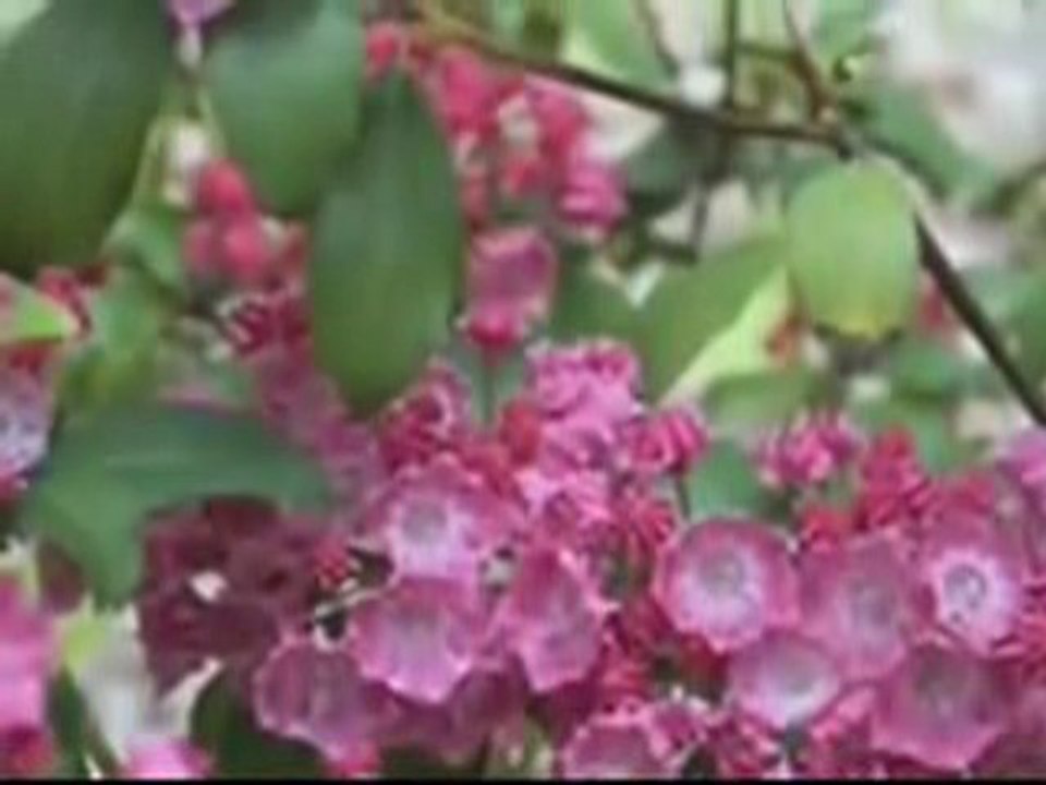 Tere liye hi by Abid Roger & Arifa Roger