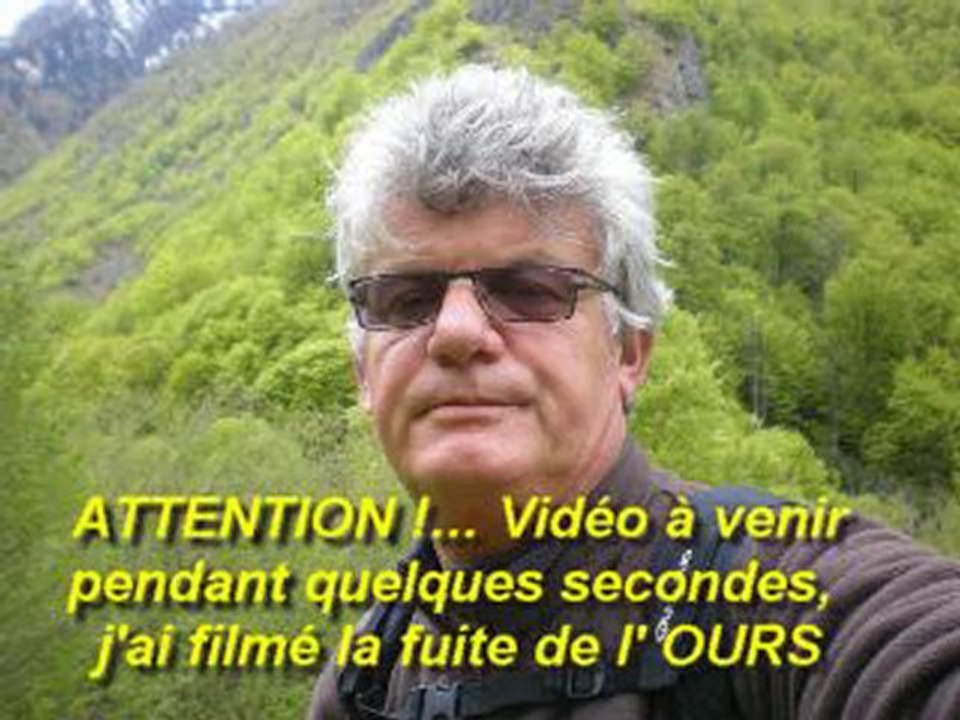 OURS  rencontré en vallée d'orle dans le biros