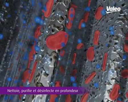 Valeo Climpur - Nettoyage des systèmes de climatisation