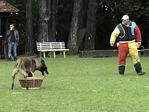 Alien concours l'isle sur le doubs 2010