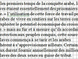 INSULTE HISTOIRE HARKIS