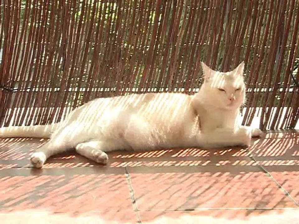 Szybkie Metamorfozy 20 odc. wnętrza|aranżacje|projektowanie