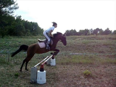 Cso puissance moi et ma ponette K'ashemire