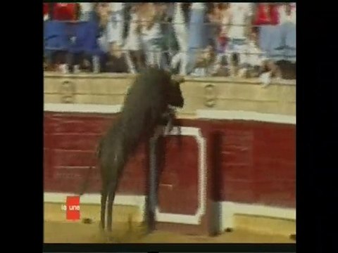 un taureau rentre dans les gradins à Tafalla