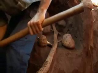 Karınca yuvası yada krallığı desek daha doğru olur