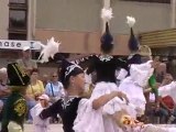 Port-sur-Saône : le festival de folklore, c'est fini !