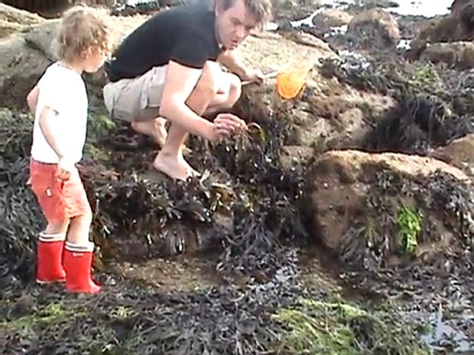 Jaja à la pêche aux crabes