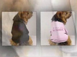 Jacques In The City Video – Stylish Dog Couture, Designer