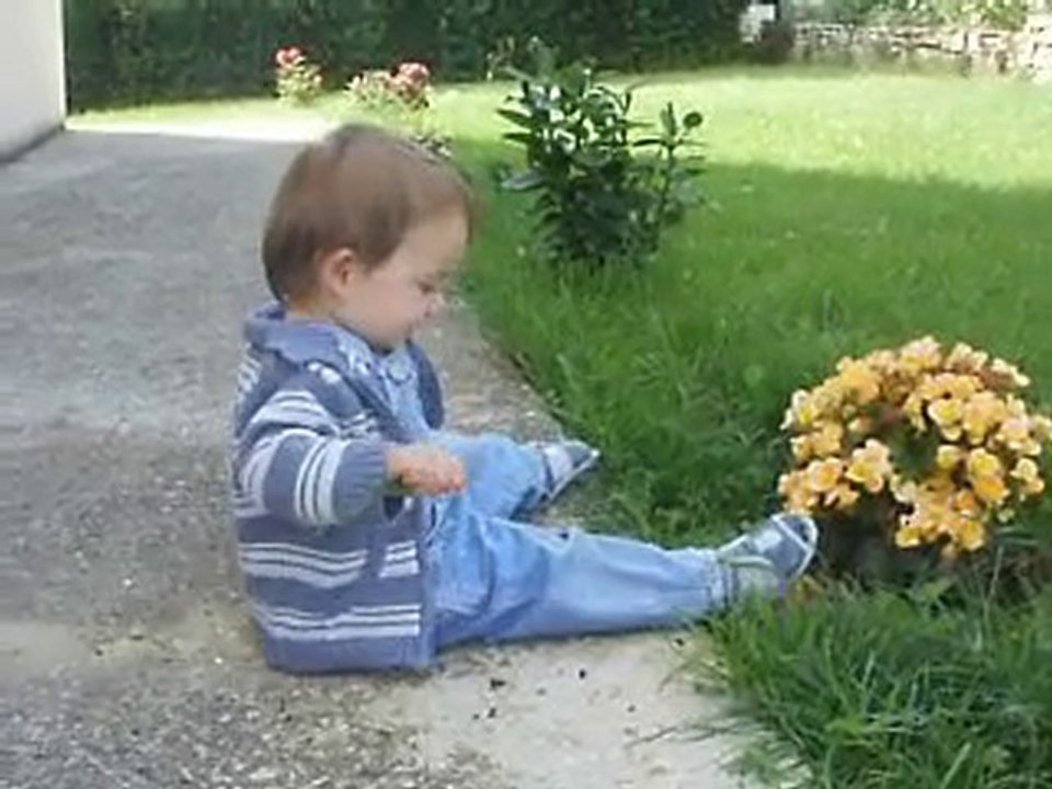 Nathan et les plantes