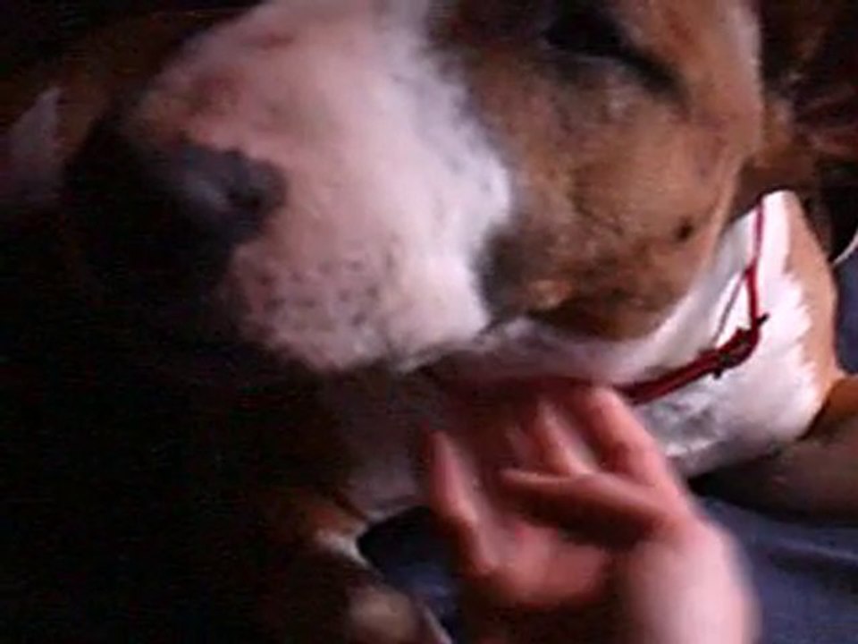 * * BULLETTE BUFFY * *