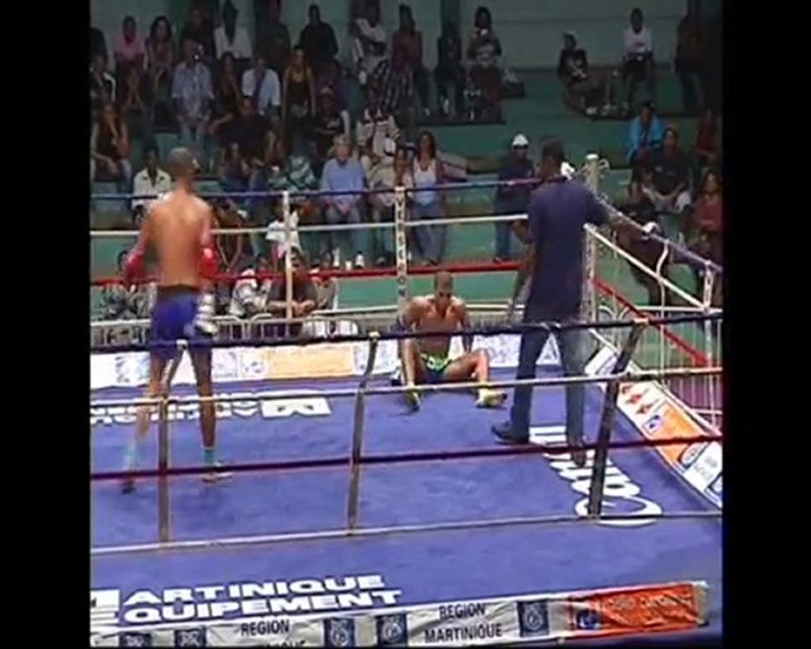 Jonathan Camara - Wendy Annonay (Championnat du Monde Muaythai WMA)