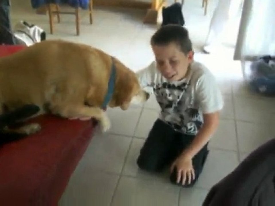 Mathieu fait un calin avec les chiens