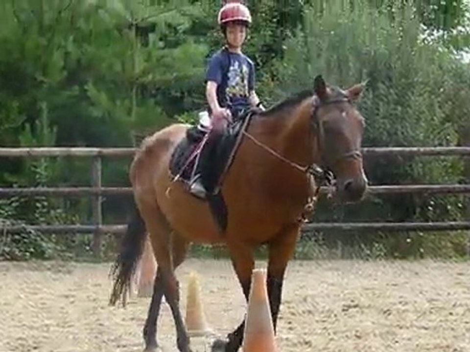 Perlani et Coco : slalom