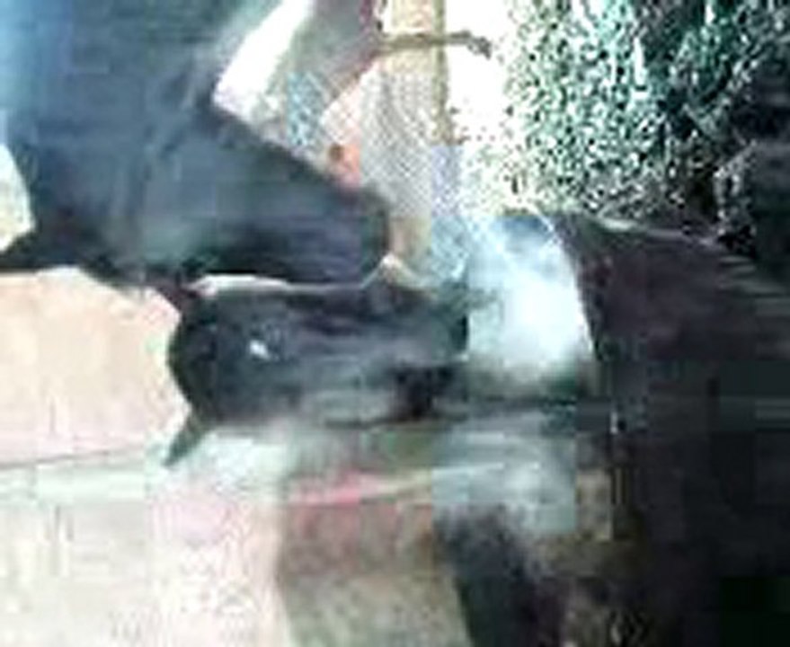 Uteza au bain!