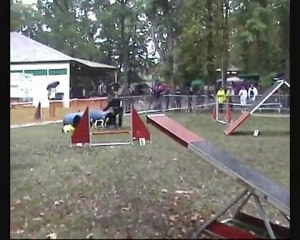 Arpège Distroff 2e degré