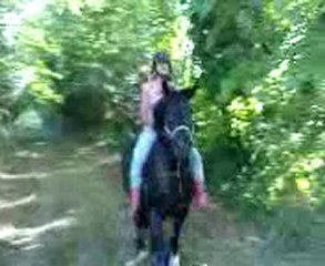 Ambre à cru avec Pin-up