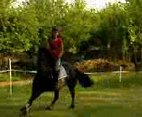 Ambre et Pin-up en carrière