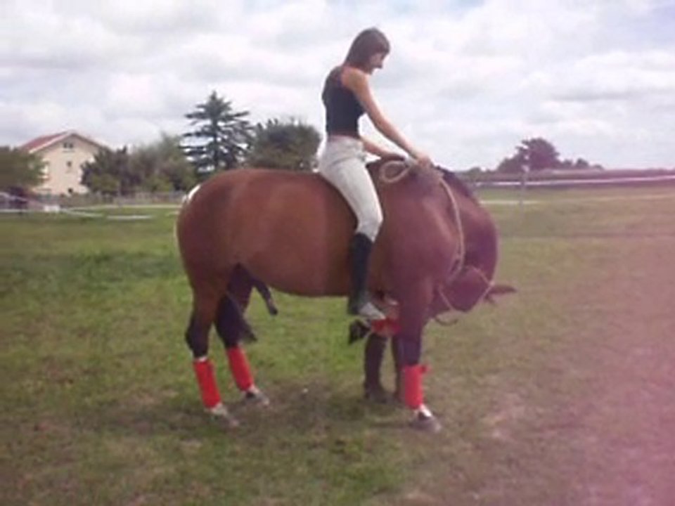 réverance montée de Pistache !