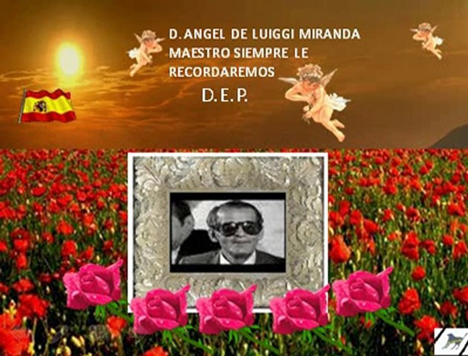 ANGEL DE LUIGGI MIRANDA