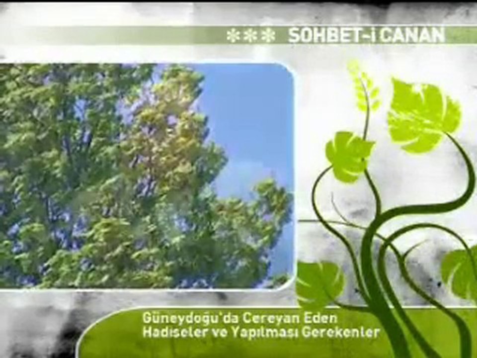 Güneydoğuda cereyan eden hadiseler ve yapılması gerekenler