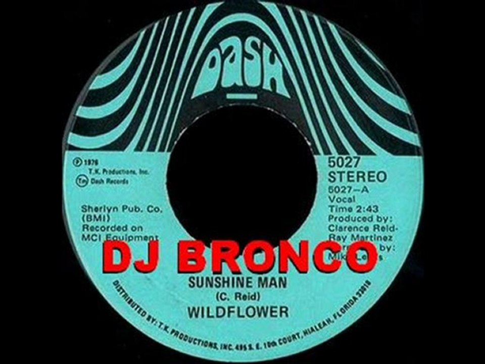 WILDFLOWER - SUNSHINE MAN