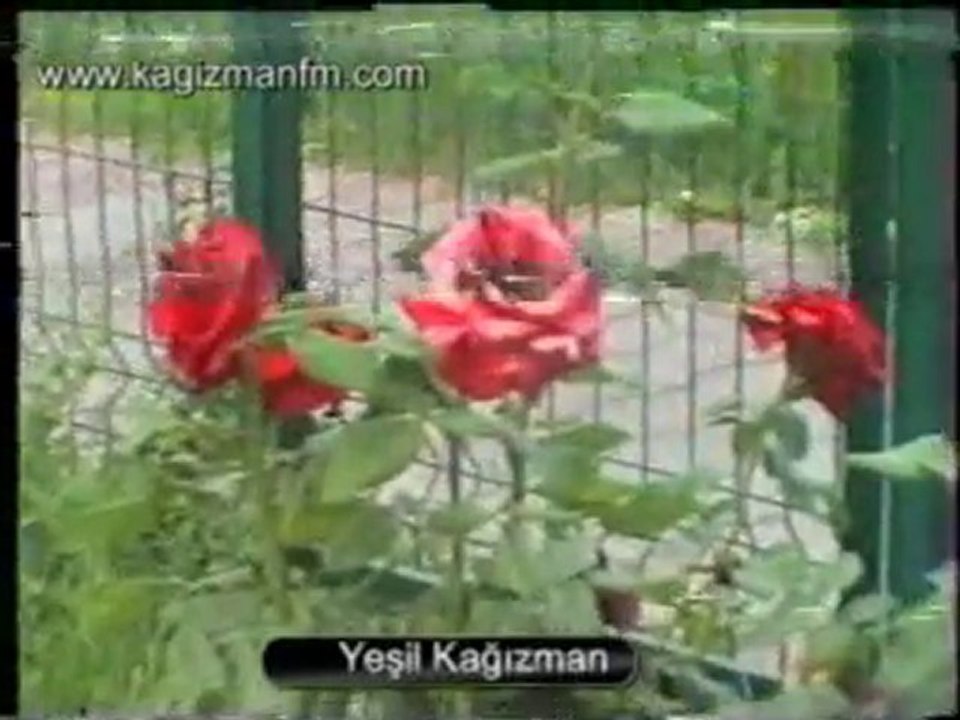 Şirin kağızman