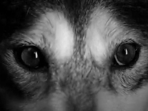 Taeyang I'll Be There