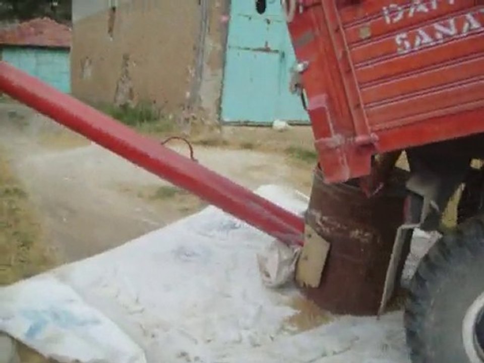 New Holland TL100A İLE BUĞDAY YIKIMI...