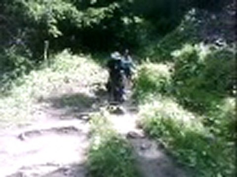 MIjo et Togo été 2010 plateau des gières