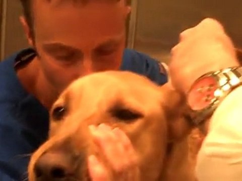 Shuler Veterinary Clinic Pet Ear Examination