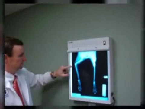 Mt Pleasant SC Vet Clinic and Animal Hospital