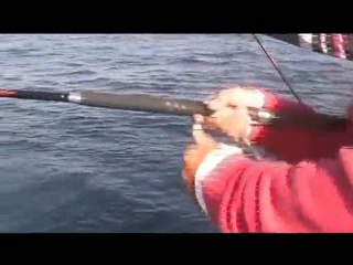 Mercan Avı (Fangri)  -1 -