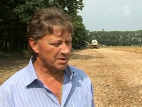 Украина пока не вводит квоты на экспорт зерна