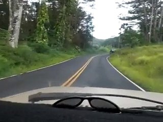 punastan whatevahs #7