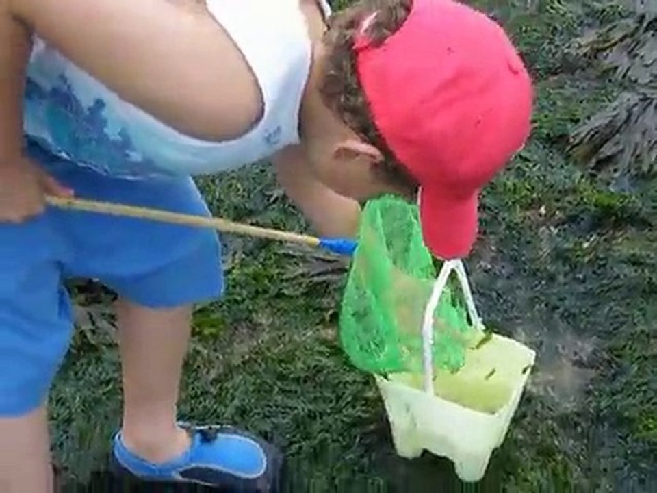 Le mois de juillet 2010 des C2C, entre Bretagne et St Palais