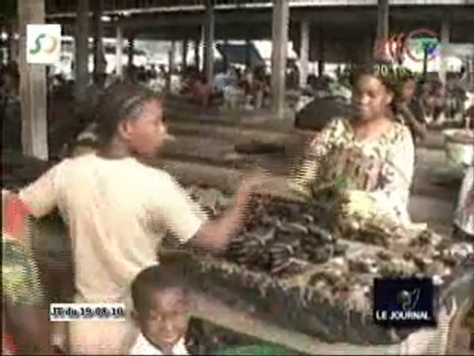 Zoom sur la vie sociale dans la Cuvette-ouest