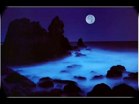 If You See Sally-Ted Lewis Band