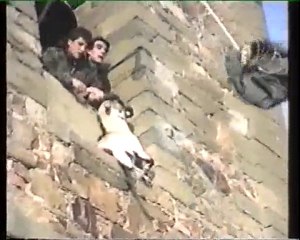 Santo de la Cabra a Manganeses de la Polvorosa