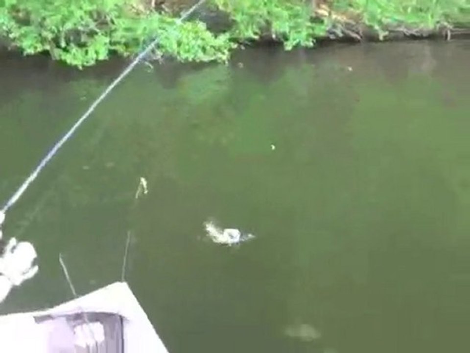 Migthy Bite Lures