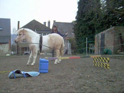 travail licol mars 2010