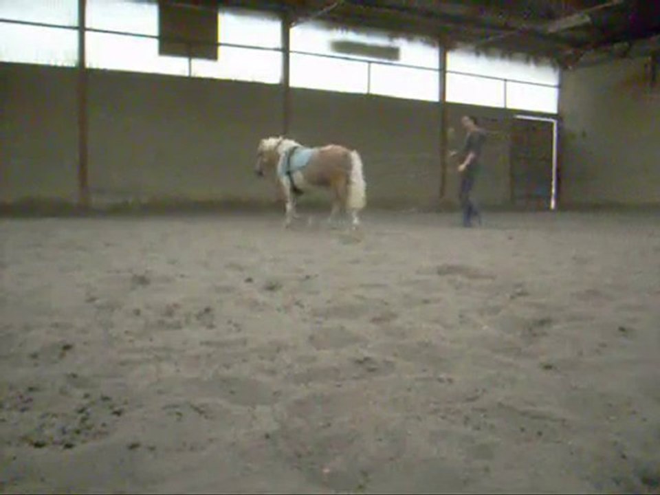 Bianca aux longues rênes aout 2010