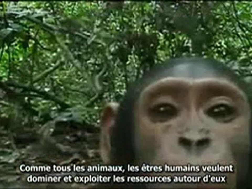 Ceci est l'histoire de votre esclavage