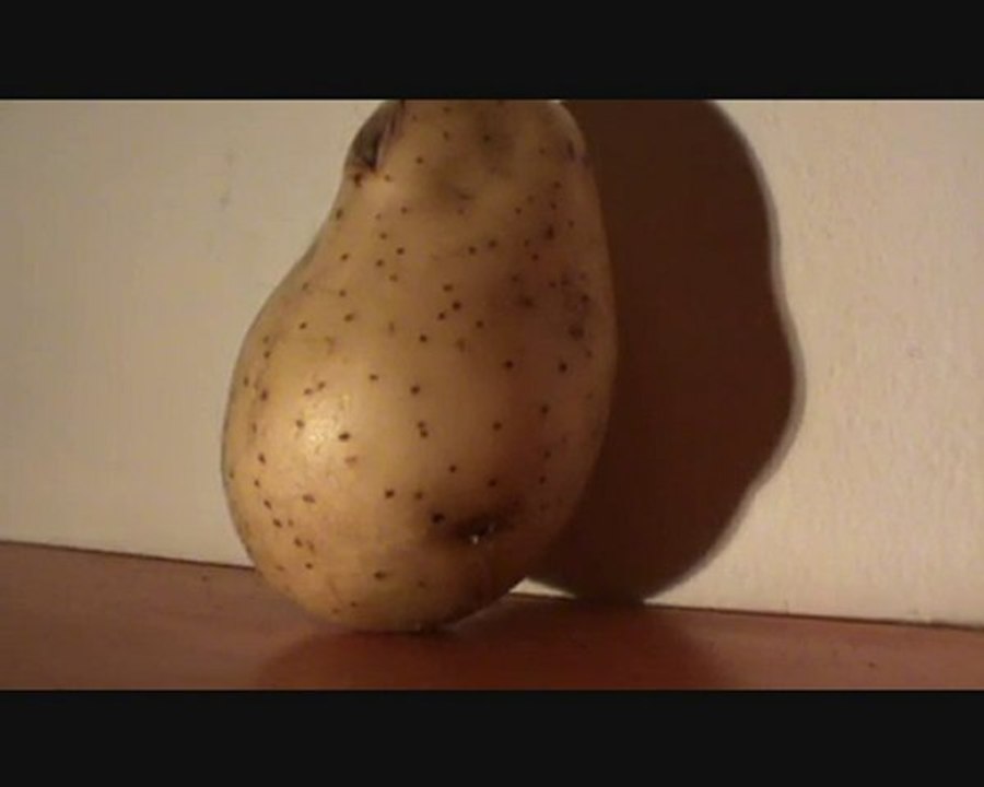 La tragique histoire de Teddy la boule verte