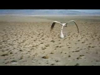 Are you reaching your potential?