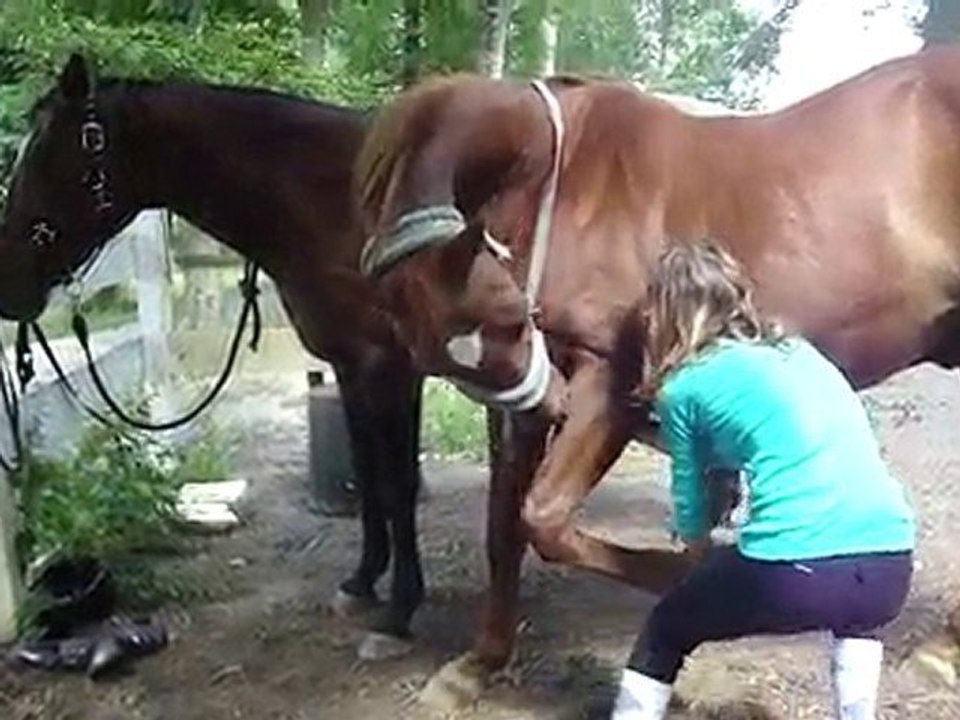 Début de Révérance pour Dakota