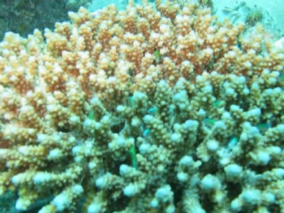 200804_Dahab_Happy Life Village